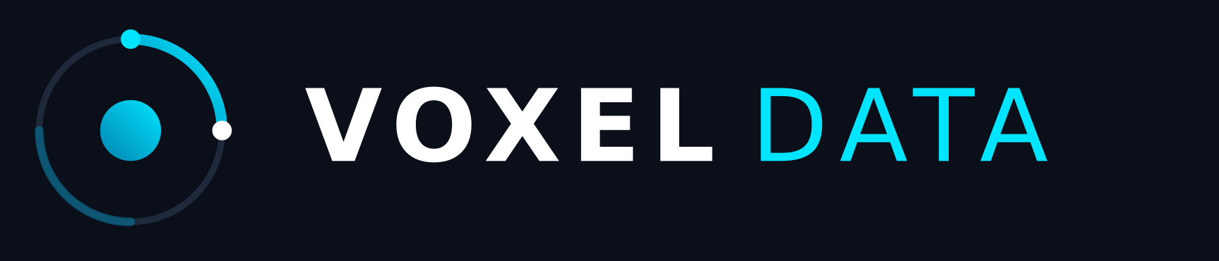 VoxelData